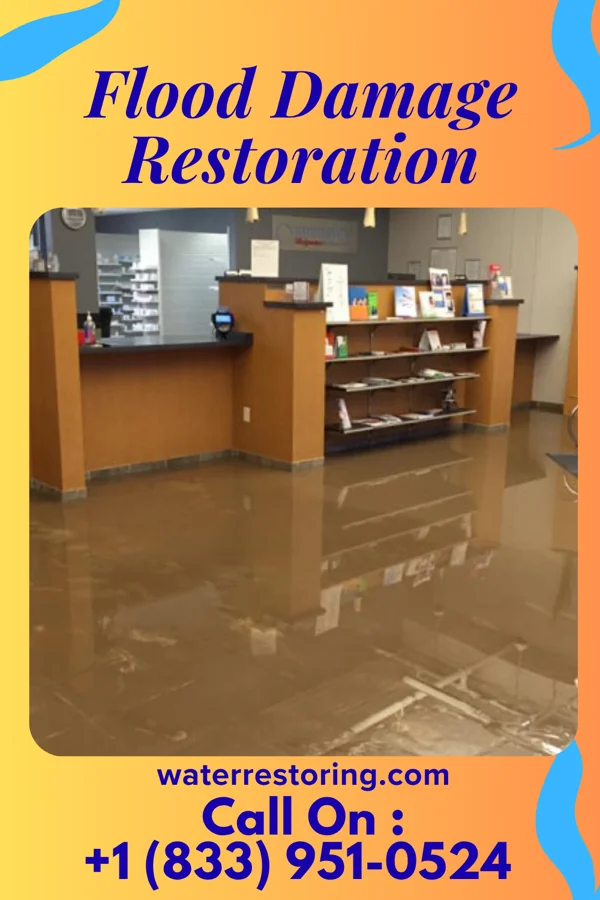 Flood Damage Restoration in Franks Field, WI